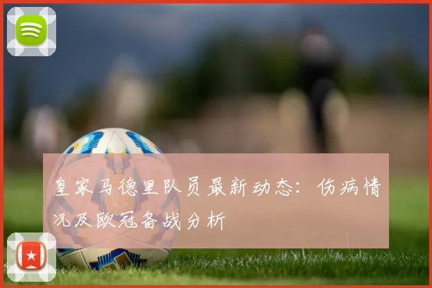 皇家马德里队员最新动态:伤病情况及欧冠备战分析