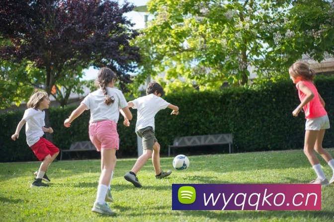 开云手机在线官网登录APP 高清赛事图